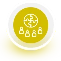 iica-icon (1)
