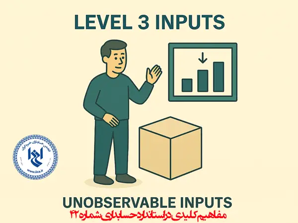 Level 3 Inputs
